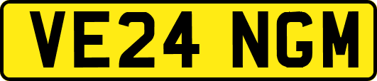 VE24NGM