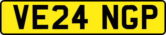 VE24NGP
