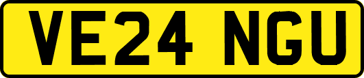 VE24NGU