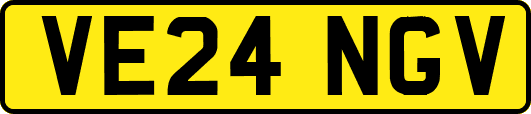 VE24NGV