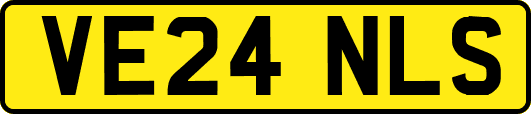 VE24NLS