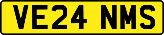 VE24NMS