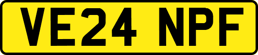 VE24NPF