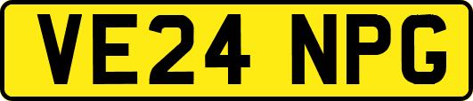 VE24NPG