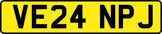 VE24NPJ