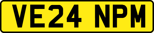 VE24NPM