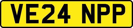 VE24NPP