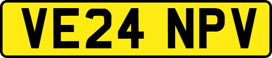 VE24NPV