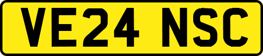 VE24NSC