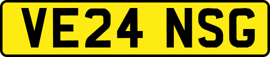 VE24NSG
