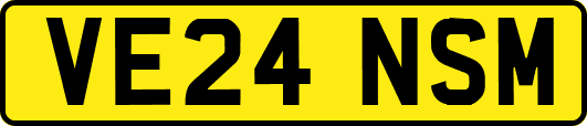 VE24NSM