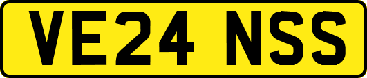 VE24NSS