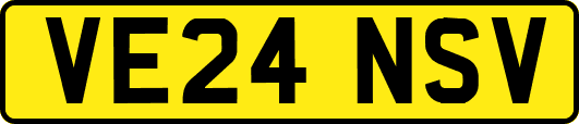 VE24NSV
