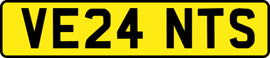 VE24NTS