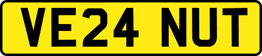 VE24NUT