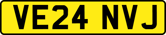 VE24NVJ
