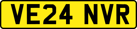 VE24NVR