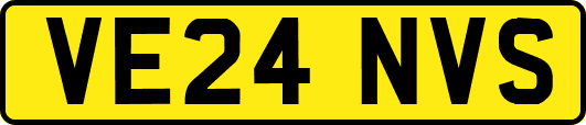 VE24NVS