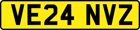 VE24NVZ