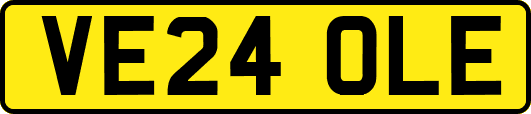 VE24OLE