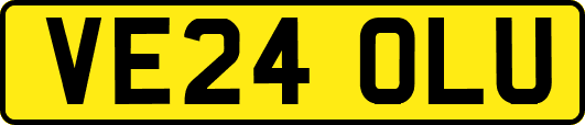 VE24OLU