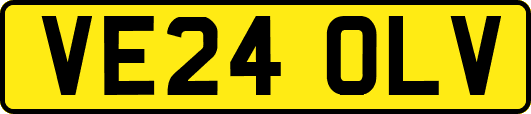 VE24OLV