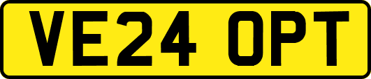 VE24OPT