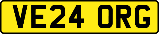 VE24ORG