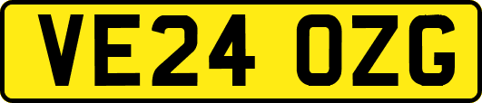 VE24OZG