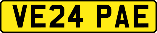 VE24PAE