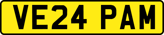 VE24PAM