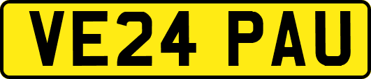 VE24PAU