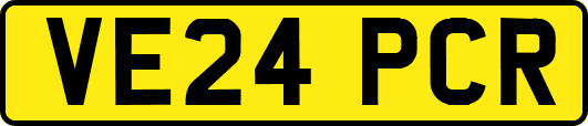 VE24PCR