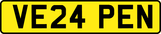 VE24PEN
