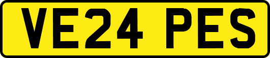 VE24PES
