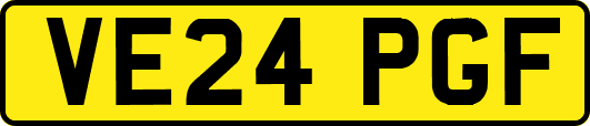 VE24PGF