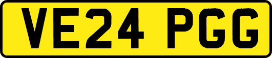 VE24PGG