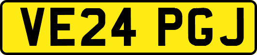 VE24PGJ