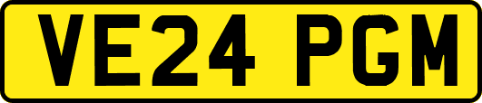 VE24PGM