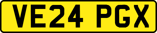 VE24PGX