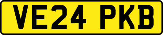 VE24PKB