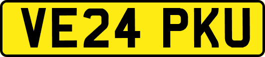 VE24PKU