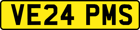 VE24PMS