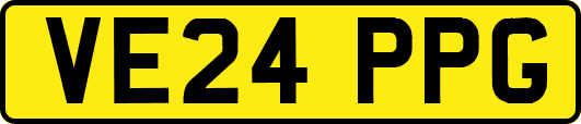 VE24PPG