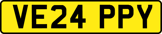 VE24PPY