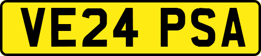 VE24PSA