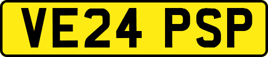 VE24PSP