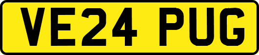 VE24PUG