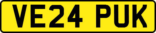 VE24PUK