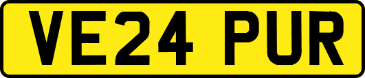 VE24PUR